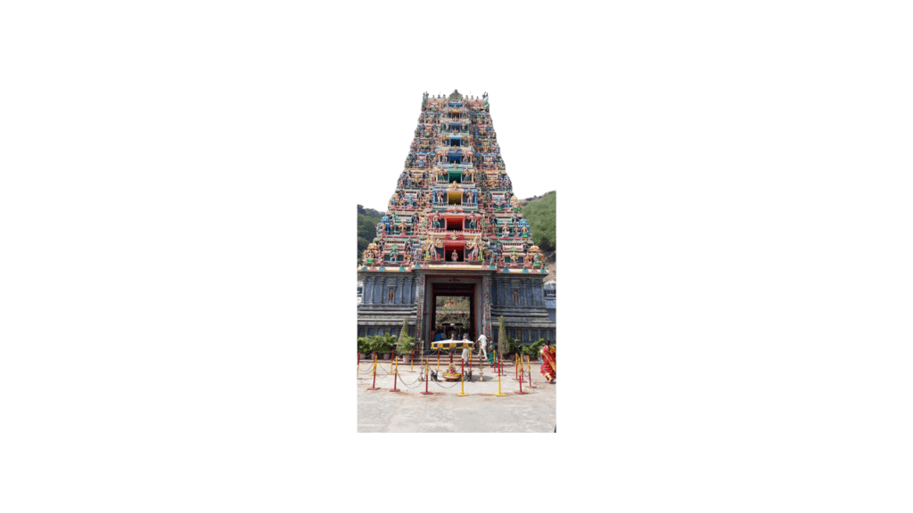 sannai melam services in vijayawada